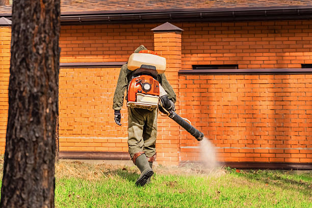 Trusted Rodent Control service in Great Neck Gardens, NY - Nex Pest Control
